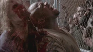 Twd304-001357