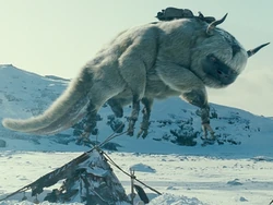 Film - Appa