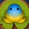 Pluma