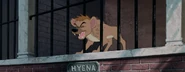 Hyena
