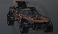 Brown Zebra.jpg