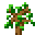 Saplings101