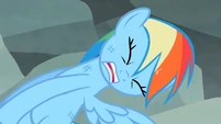 Rainbow Dash struggling to pull free S2E07