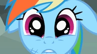 Rainbow Dash "Forever!" S2E07