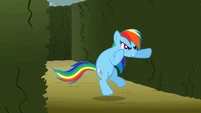 Rainbow Dash wants to fight Discord S02E01