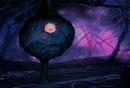 Buu in Buu