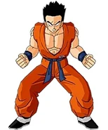 Yamcha Adulto 9