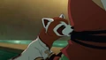 Pabu saving the Fire Ferrets.png