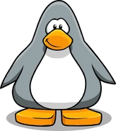 Grey Penguin2223