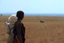 RhinoSpotted