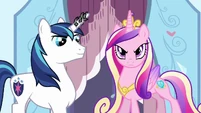 Cadance looking confident S3E2