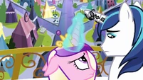 Cadance and Shining Armor looking at each other S3E2