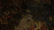 WalkingDead101 2012-11-13 06-54-52-35