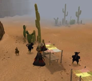 Building the colony