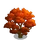 White Enkianthus Tree-icon