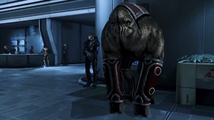 Elcor extraction diplomat