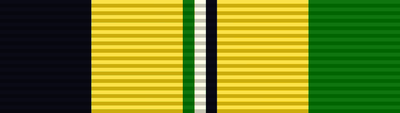 Medal, Antivandalism Work