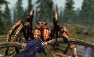 Goodbye Spider