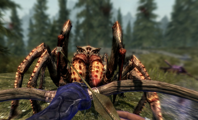 Goodbye Spider