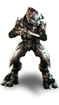 Storm Zealot
