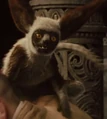Film - Momo.png