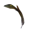 Peacock-quill-lrg.png