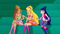 MetamorphosymbiosisS5