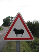 A15a2 2
