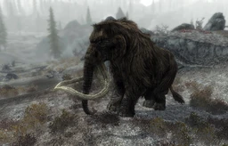 Mammoth