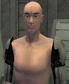 DirkMaggin.jpg