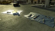Homeland Security Weapons MW2