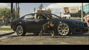 Blacksedan
