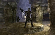Forelhost Trap