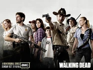 TWD-800x600-2PRE