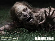 TWD-800x600-3PRE