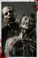 Walkers-2