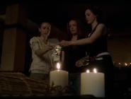8x21Hollow2