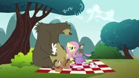 Fluttershy 'Goodness...' S3E3