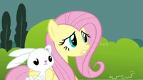 Fluttershy 'Who's' S3E3