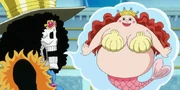 Brook se imagina a Shirahoshi