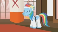 Rainbow Dash Black Belt S1E12