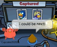 Captured gag