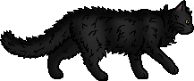 Graystripe.loner