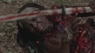 Twd306-001260
