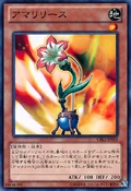 Amarylease-CBLZ-JP-C