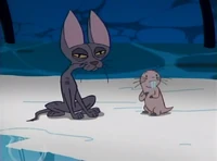 ChasingRufus