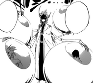 R517 Bańki Senshumaru