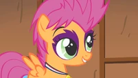 Scootaloo's report S1E18