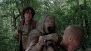 The Walking Dead S03E06 1161