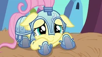 Fluttershy is fear of Rainbow's power S3E02